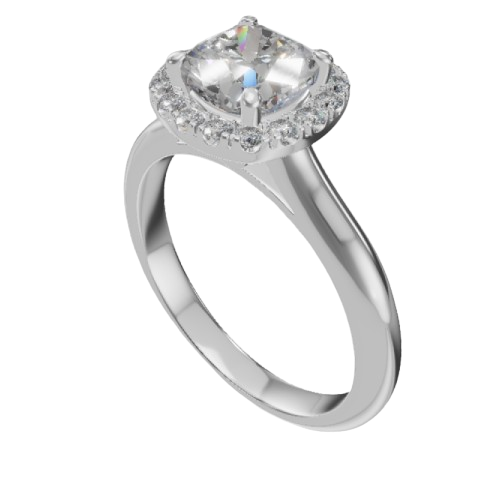 Ring model 0